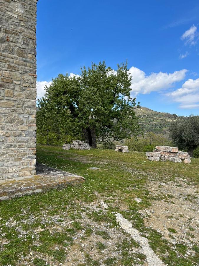 Agriturismo Cervinace Oriolo  Luaran gambar